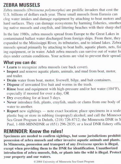 Zebra Mussels Information